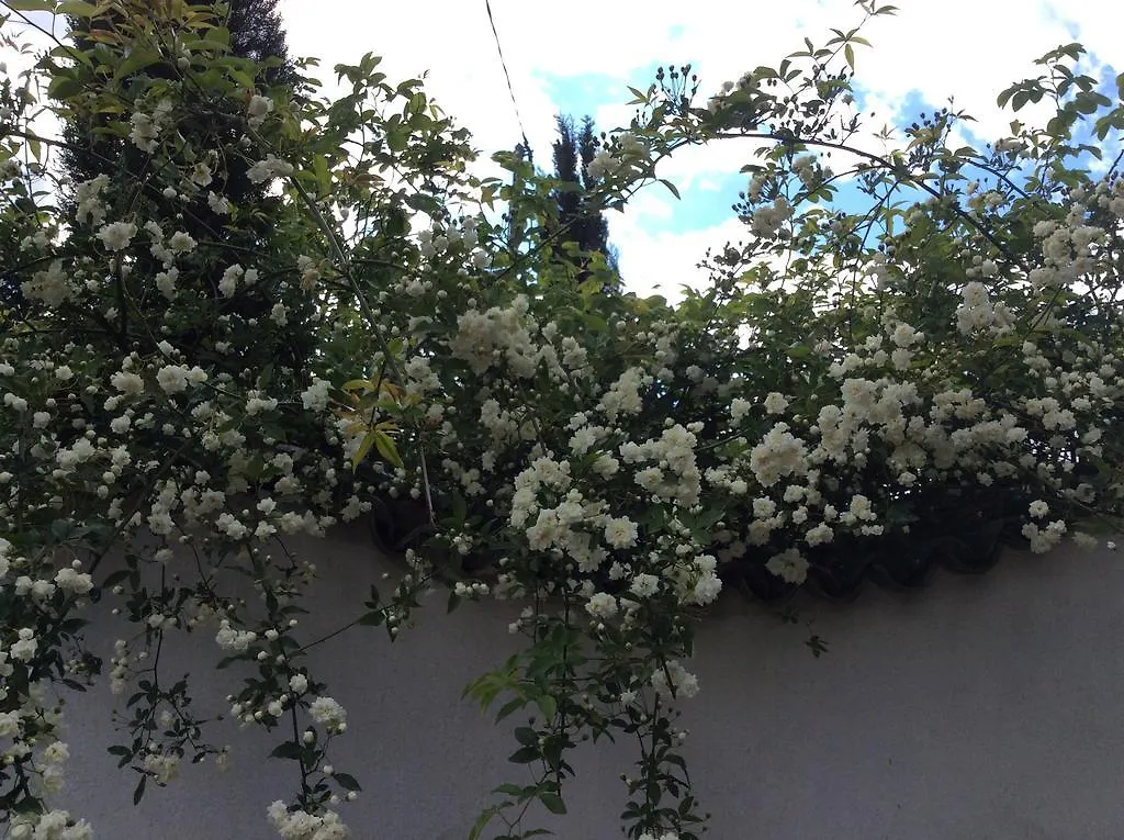 Hébergement de vacances Villa Côté Camarguais à Arles